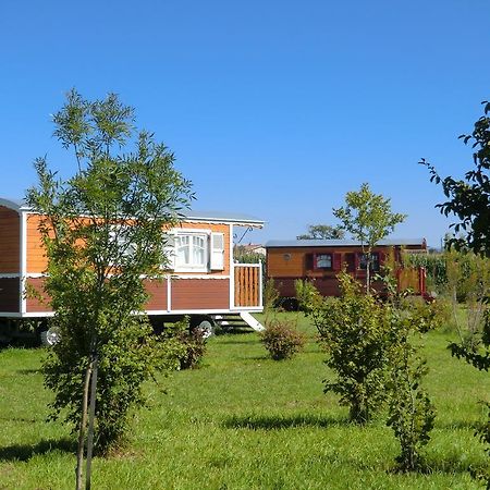 Les Roulottes-Gites De La Ferme De L'Autruche Dromoise Ливрон-сюр-Дром Экстерьер фото