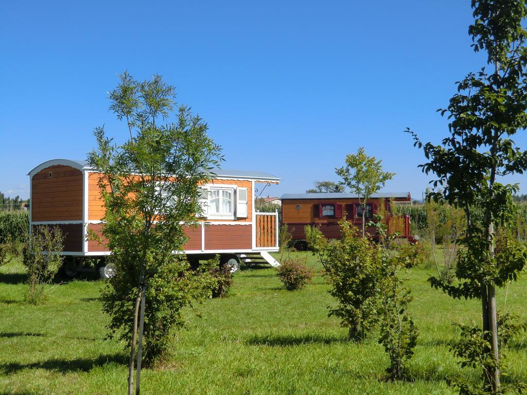 Les Roulottes-Gites De La Ferme De L'Autruche Dromoise Ливрон-сюр-Дром Экстерьер фото